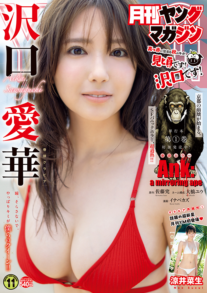 月刊ヤングマガジン No.11