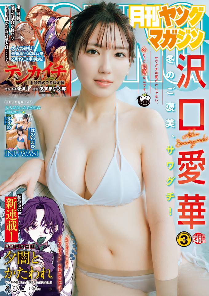 月刊ヤングマガジン No.3